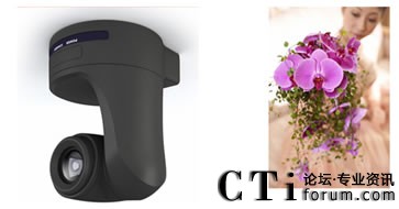 ��(d��)�����^���r��������